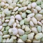 Lima Beans (Butter Beans)
