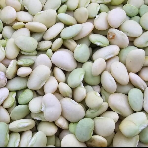 Lima Beans (Butter Beans)