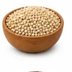 White Sorghan Millets