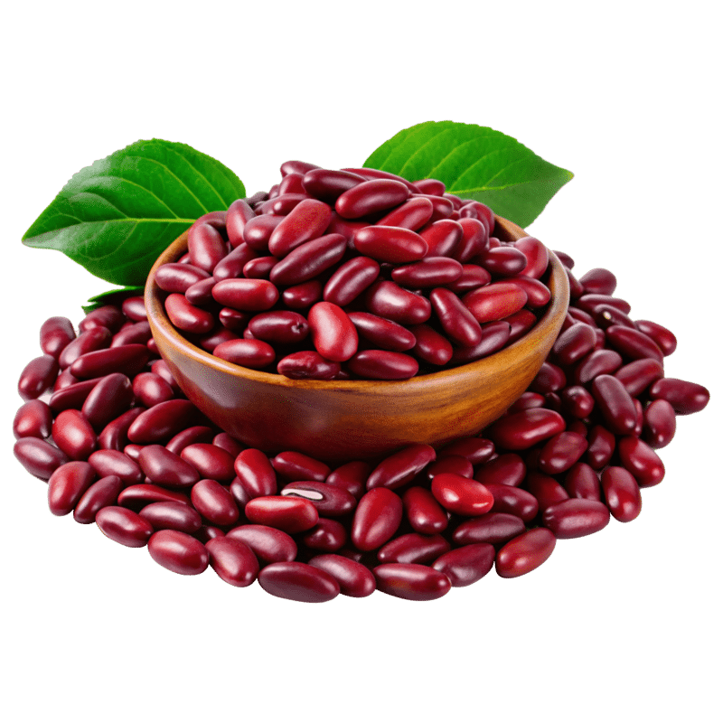 red Chitra rajma Beans