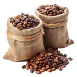 Raw robusta coffee beans