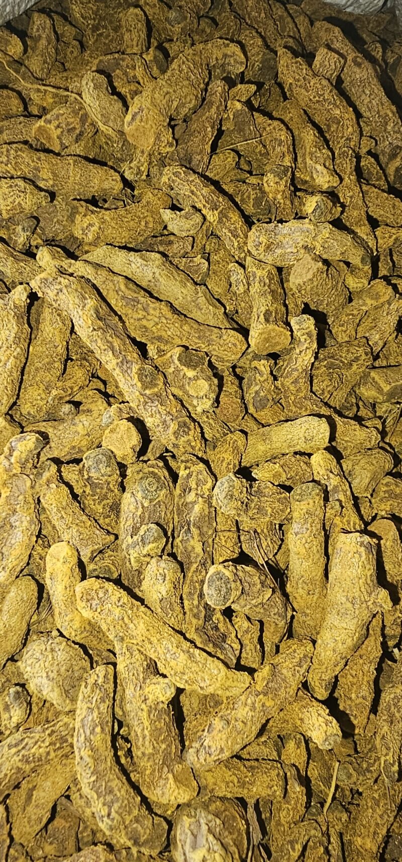 FingerTurmeric unpolished Natural