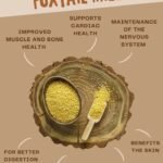 Foxtail Millets Ready to cook