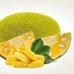 Jack Fruit