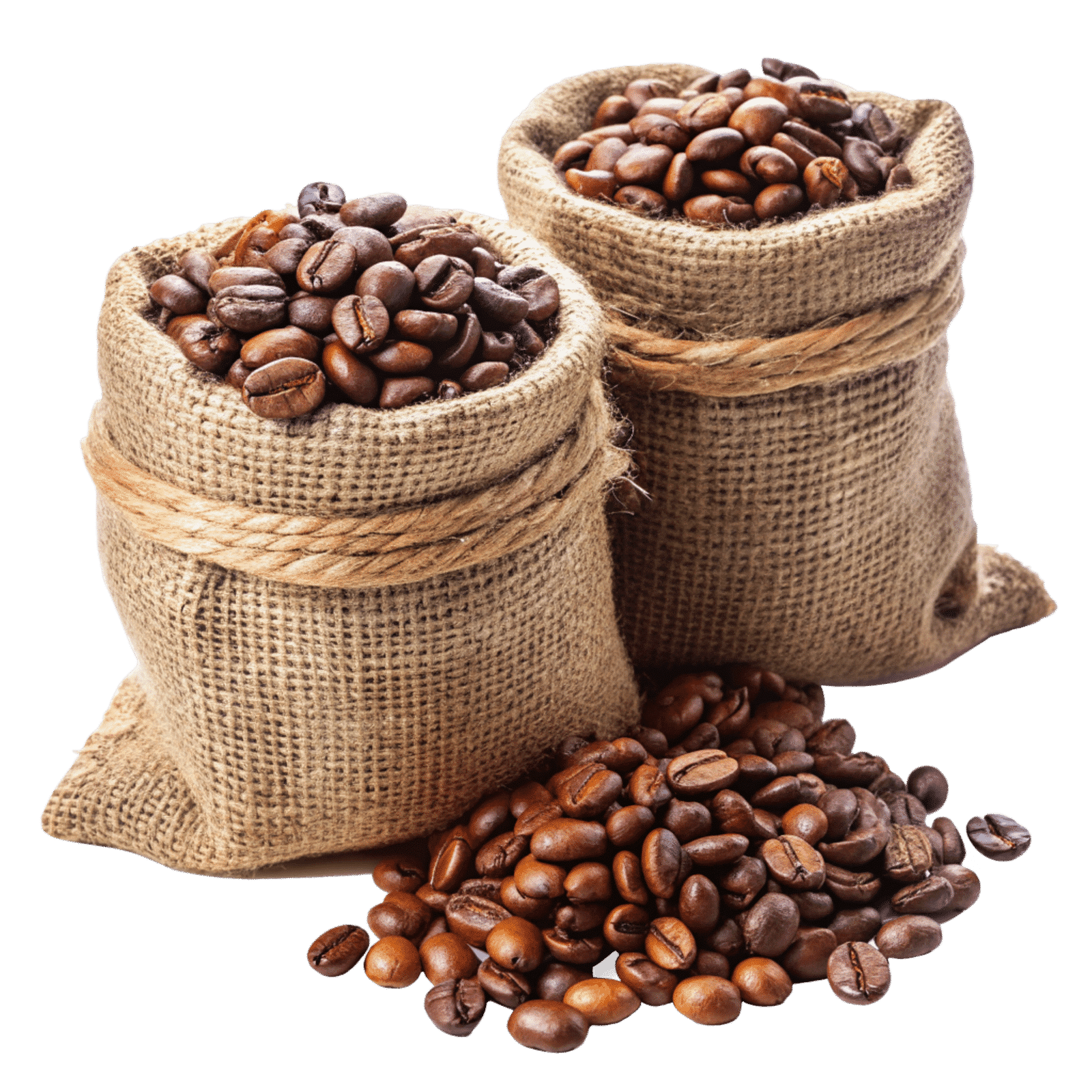 Arabica Roasted Coffee beans - Image 2